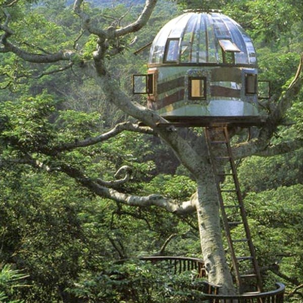 Peter Nelson’s Treehouses Blog de Superflicka
